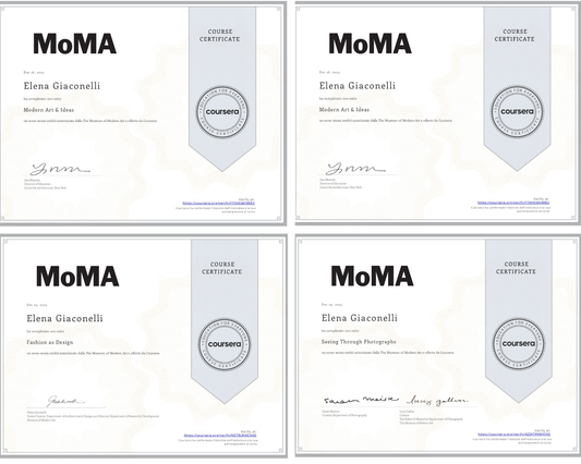 Oltre lo Sguardo: La mia Formazione con il MoMA di New York